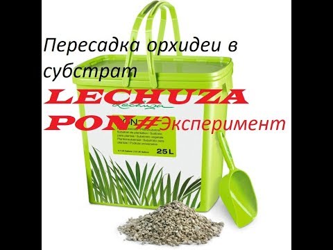 Видео: Пересадка орхидеи в субстрат LECHUZA PON#Эксперимент