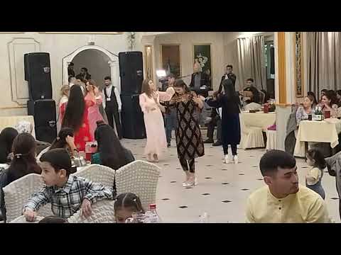 Видео: Туй Зумудг