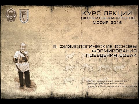 Видео: Лекция 5. Физиологические основы формирования поведения собак (Курсы экспертов-кинологов МООиР 2016)