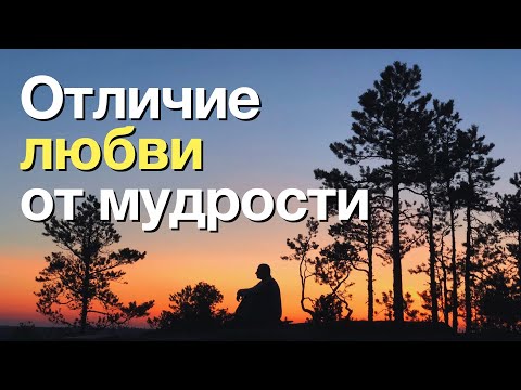 Видео: «Любовь и мудрость — как совместить  одно с другим?»