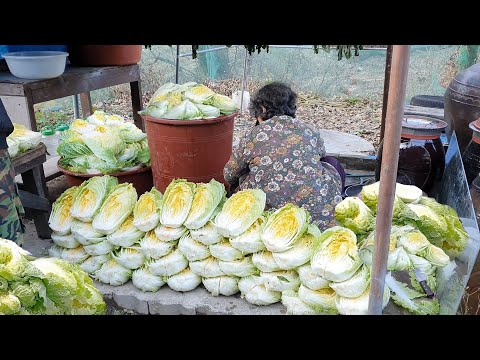 Видео: Весь процесс приготовления вкуснейшего кимчи, тушеного кимчи мукбанга (рецепт)