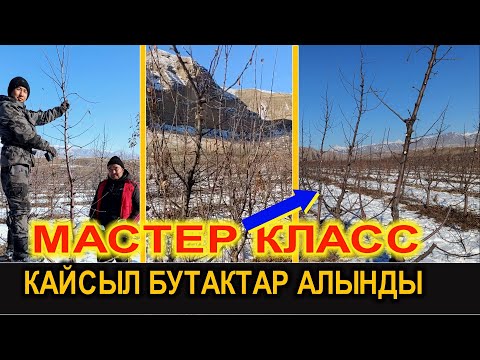 Видео: 6 ЖЫЛДЫК АЛМАНЫ БУТОО БОЮНЧА МАСТЕР КЛАСС