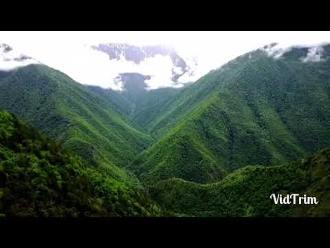 Видео: Даймохк Арби Цураев