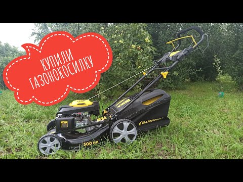 Видео: Купили газонокосилку #champion #championlm5131 #самаялучшаягазонокосилка