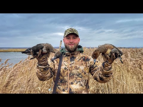Видео: ОХОТА НА УТКУ В СИЛЬНЫЙ ВЕТЕР | Взял крякву и свиязей | Октябрь 2024