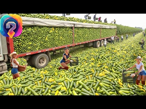 Видео: НОВЫЙ уровень сельхозмашин — как фермеры собирают миллиарды тонн пищи в крупнейших урожаях!