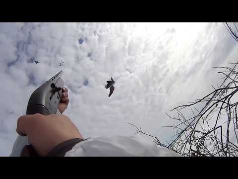 Видео: Охота на гуся \ Охота на Крайнем Севере\ Goose hunting\ Hunting in North.