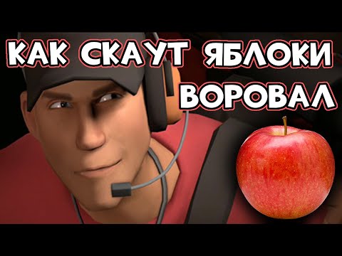 Видео: История как скаут яблоки воровал