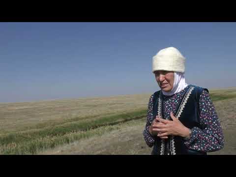 Видео: Қойлыбай бақсы зияратына тағзыммен Алла достарынан хабарлар 2