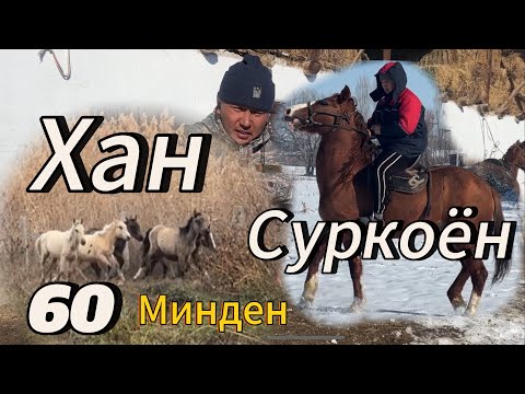 Видео: Оскон акеден Хан кулундар чыкты базар баада