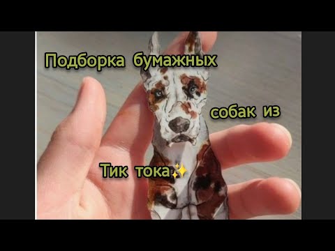 Видео: Подборка бумажных собак из Тик тока ✨(Sora_cats)#бумажныесобаки