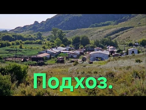 Видео: Подхоз.