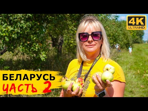 Видео: БЕЛАРУСЬ - что посмотреть в БРЕСТЕ за 2 дня. Беловежская пуща и резиденция Деда Мороза. Озеро КАТАШИ
