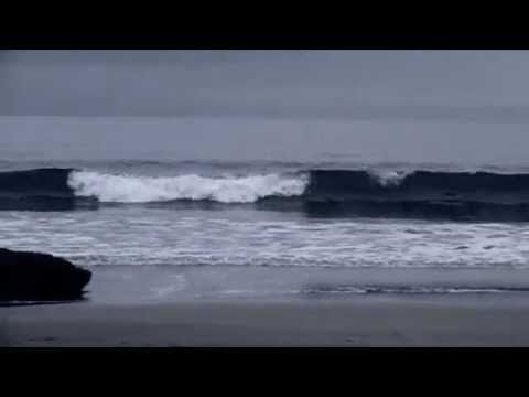 Видео: Леонид Фёдоров - Над морем