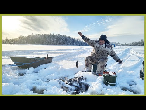 Видео: Загадка! Чёрная рыба в таёжном озере. Почему?