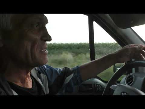 Видео: Ф.148.ч 1.Безверхий А.А. о  голубях  ...