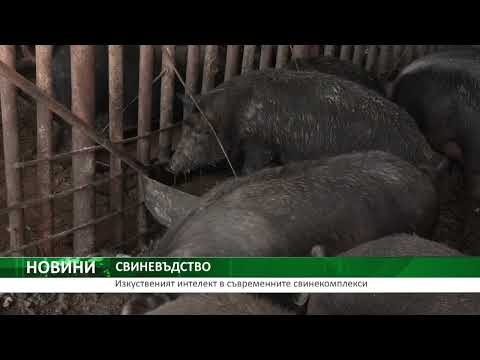 Видео: Централна емисия новини на АГРО ТВ – 15.09.2025 г.