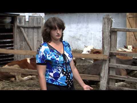 Видео: «Сельский порядок». Почему выгодно вступать в фермерские кооперативы (3.06.2015)