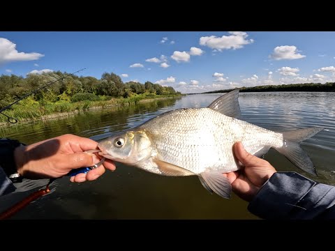 Видео: ИДУ Я ПО ВОДЕ. Ультралайт на Оке. Рыбалка 2023. Мормышинг.