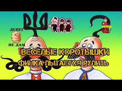 Видео: КОРОТЫШКИ ВЕСЕЛЫ, ПОСМЕЕМСЯ ОТ ДУШИ. ОТ ОСТРОТ МОШНОГОЛОВЫХ РАЗБОЛЯТСЯ ЖИВОТЫ. 