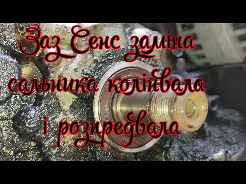 Видео: Заміна сальника колінвала та розпредвала Заз Сенс