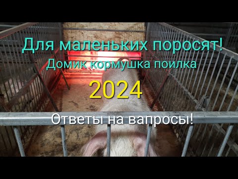 Видео: Для маленьких поросят!Домик кормушка поилка.Ответы на вапросы 😉