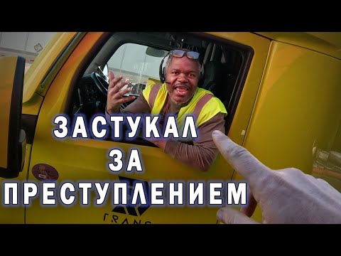 Видео: Размещаю ДЕВУШКУ клиента МЕЖДУ двумя МУЖИКАМИ, Испугался что ГОРИТ ТРАК, УВИДЕЛ КРОКОДИЛА в канаве