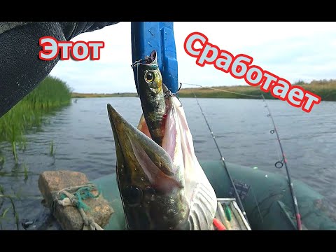 Видео: ГДЕ осенью - поймать щуку на ПОППЕР.  Мой улов.