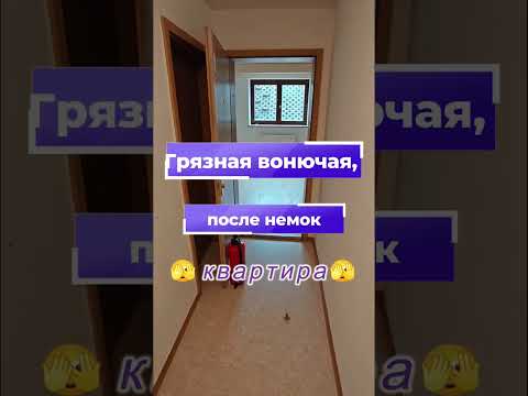 Видео: Не все немцы чистоплотные. Квартира в Германии грязь, запах, мухи. #немецкийбыт 