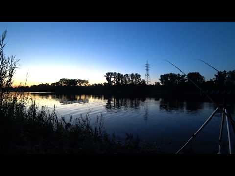 Видео: Чи реально зловити сома, ляща й плотву за один день на фідер??...#FishTrip #29