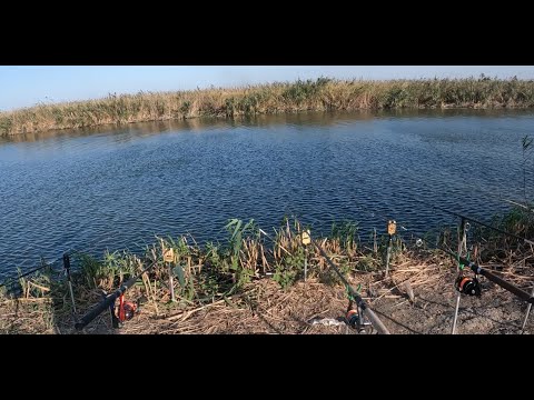 Видео: РЫБАЛКА НА ЖМЫХ (МАКУШАТНИКИ) х.ЛЕБЕДИ КАНАЛ "ДЖЕРЕЛИЕВСКИЙ ГЛАВНЫЙ КОЛЛЕКТОР"