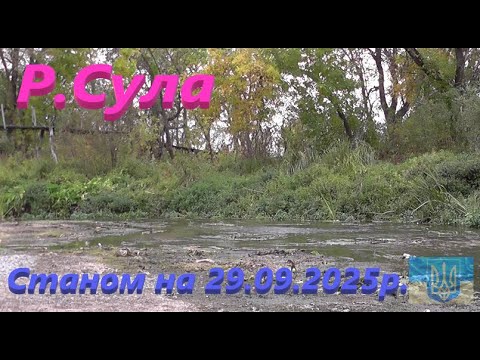 Видео: Сула # Просто жахливий стан річки #РибачуЯкУмію