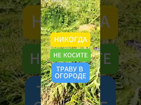 Видео: ТРАВУ В ОГОРОДЕ КОСИТЬ НЕЛЬЗЯ и вот почему #огород #дача #сорняки