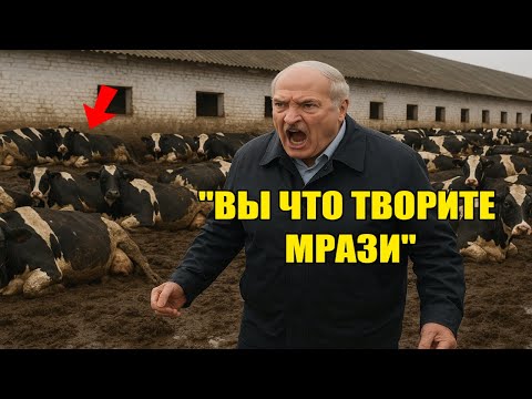 Видео: "Вы что творите, мрази!" - ПРОВЕРКА НА ФЕРМЕ ОБЕРНУЛАСЬ СКАНДАЛОМ - ЛУКАШЕНКО В ЯРОСТИ