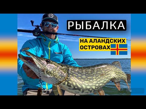 Видео: Границы открыты! Рыбалка на Аландских островах с Anton Fisherman.