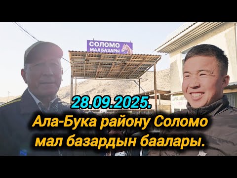 Видео: 28.09.2025. Ала-Бука району Соломо мал базардын бүгүнкү баалары. 