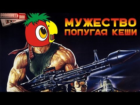 Видео: МУЖЕСТВО ПОПУГАЯ КЕШИ [ВСПОМНИТЬ ВСЁ]