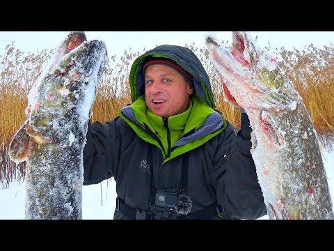 Видео: Щуки монстры обрывают леску и не лезут в лунку! Зимняя рыбалка на трофейного хищника 2019!