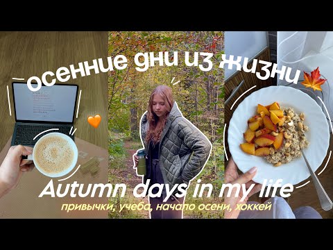 Видео: Мои Осенние Уютные Дни | *осенние выходные* | autumn days in my life🍁🧡