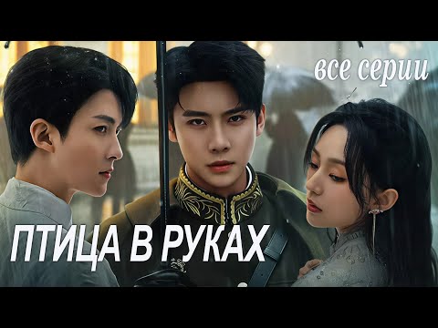 Видео: Птица в руках ВСЕ СЕРИИ, ФИЛЬМ дорама Садистская любовь, Sadistic Love, 掌中雀