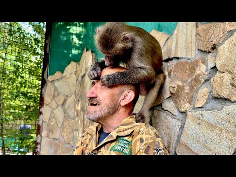 Видео: Люся так поправилась что выдержать ее прыжки уже очень сложно, это просто торнадо какое-то)))