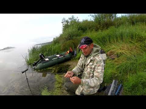 Видео: Отрываюсь по плотве и не только. На Оке.  Август 2023