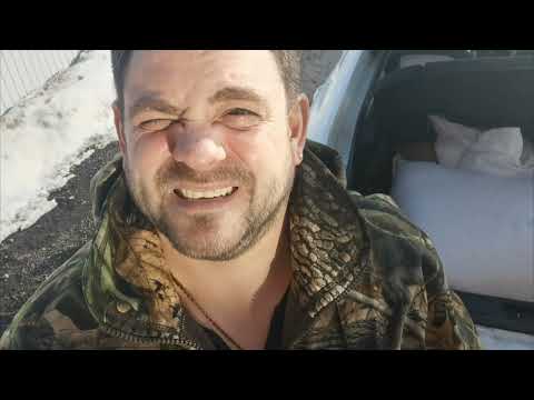 Видео: Будни Перепеловода!! Пробую экструдированный корм!