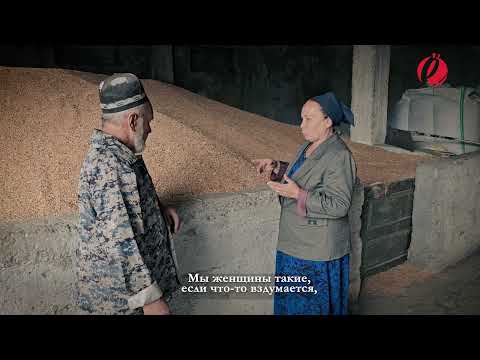 Видео: Раиса