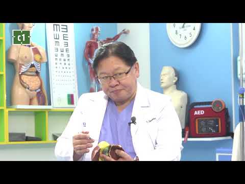 Видео: “Доктор Санчир” нэвтрүүлэг. Сэдэв: "Элэгний хорт хавдар" /19.03.04/