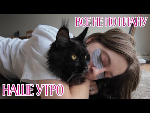 Видео: Все пошло не по плану🫣// Наша утренняя рутина и моё новое хобби 