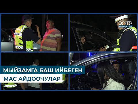 Видео: МЫЙЗАМГА БАШ ИЙБЕГЕН МАС АЙДООЧУЛАР