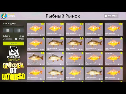 Видео: Русская рыбалка 4. 🎣 оз. Янтарное 🐳🐳🐳...💦 ТРОФЕИ от LATORSO 👀