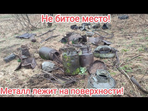 Видео: Сюда ещё не ступала нога копателя! Металл лежит прямо на поверхности!Цены на приемке!