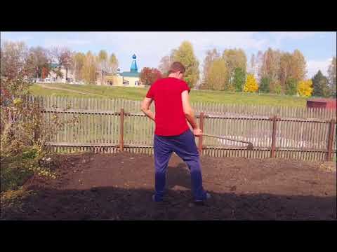 Видео: Готовим под посадку чеснока